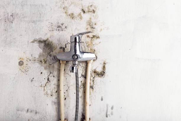 Best Mold Cleaning Services  in Helena Valley Southeast, MT