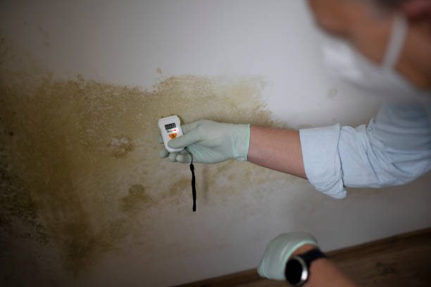 Best Residential Mold Removal  in Helena Valley Southeast, MT